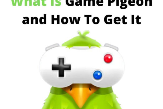 Details on the game pigeon android