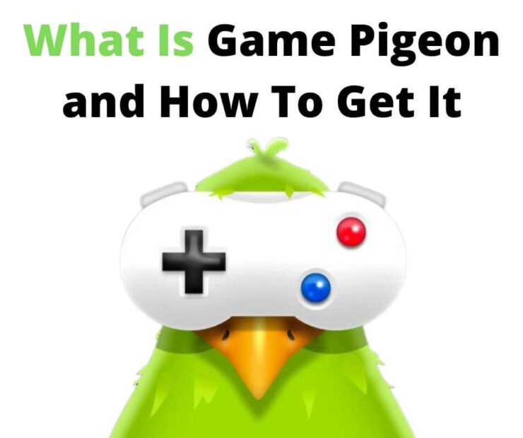 Details on the game pigeon android